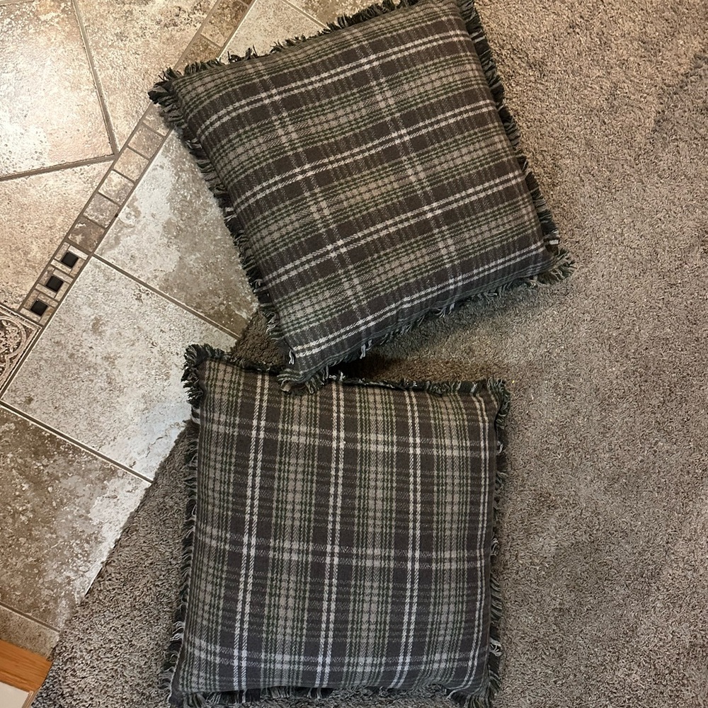 Decor pillows big! Nwt